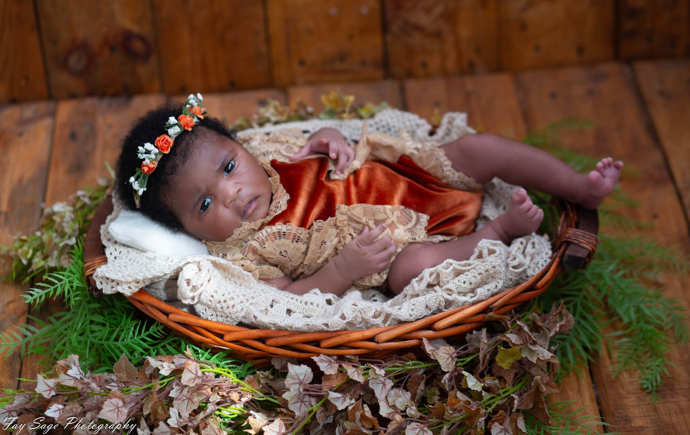 Newborn styled theme