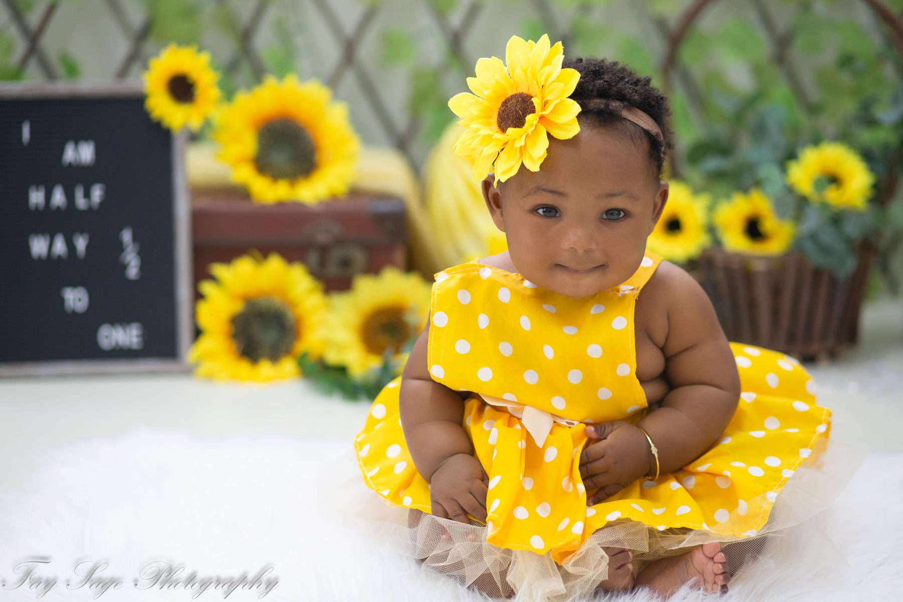 Halfway to one sitter session, 6 to 9 month old baby